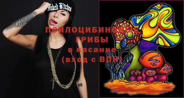 хмурый Богородицк