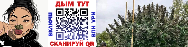Бошки марихуана VHQ Ухта